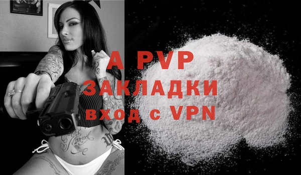 винт Алзамай