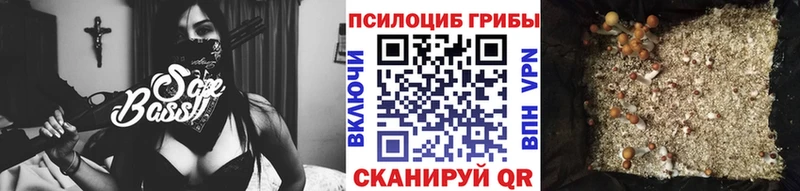 цены   Берёзовский  Псилоцибиновые грибы мухоморы 